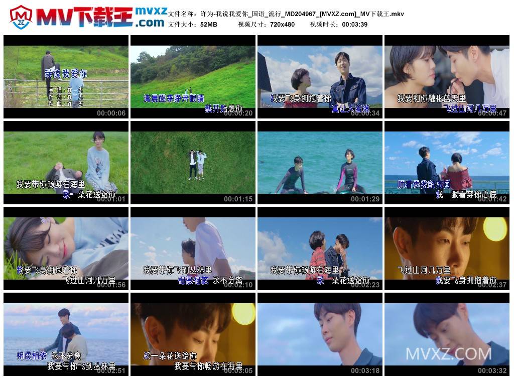 许为-我说我爱你_国语_流行_MD204967